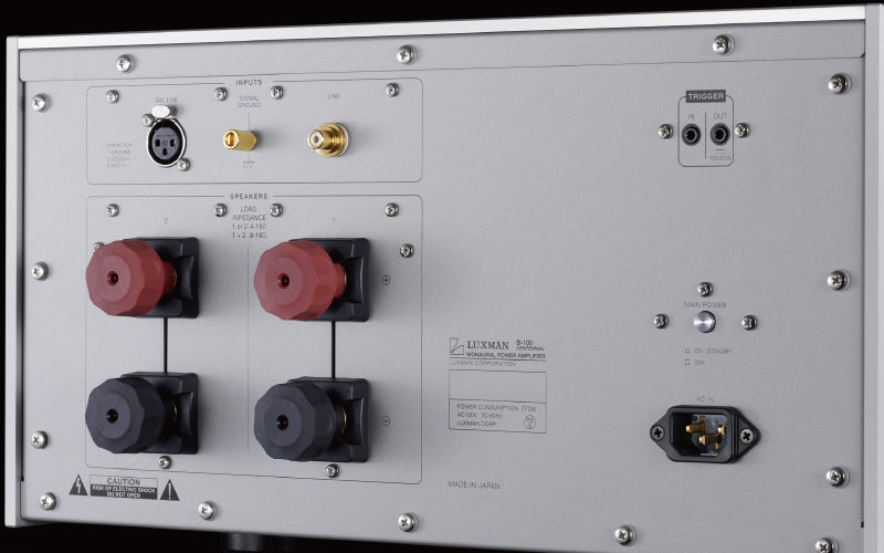 Luxman B-100